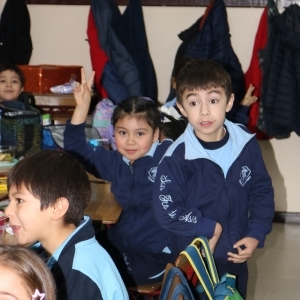 Día de la Actividad Física